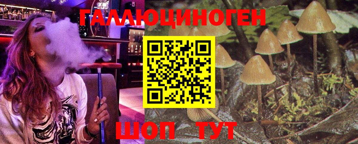 Галлюциногенные грибы Psilocybe  Вход с VPN  Истра  Галлюциногенные грибы Psilocybe 