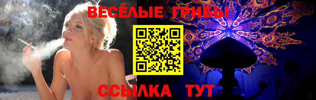 Псилоцибиновые грибы MAGIC MUSHROOMS Истра